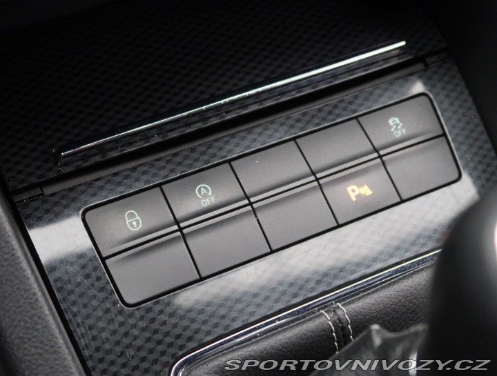 Škoda Octavia RS RS RS 2.0 TDI 2013