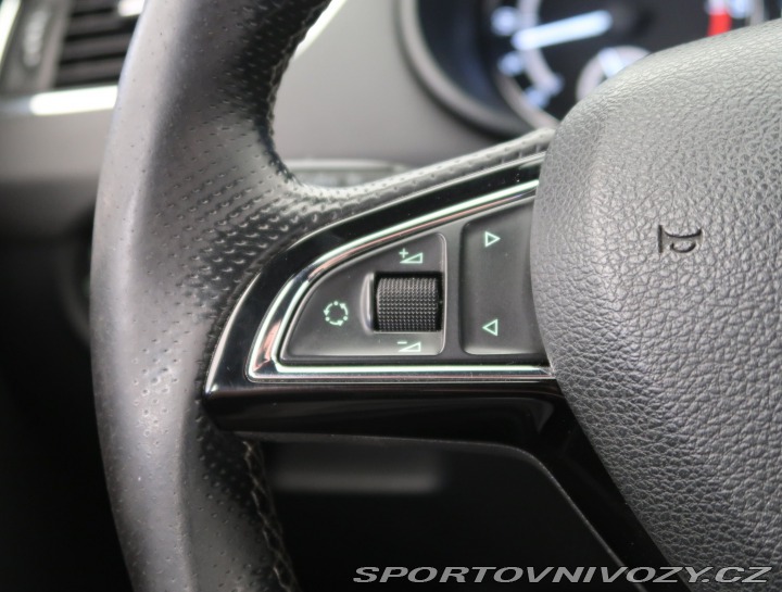 Škoda Octavia RS RS RS 2.0 TDI 2013