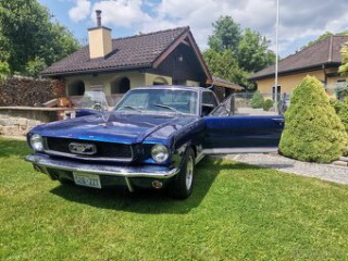 Ford Mustang  1966