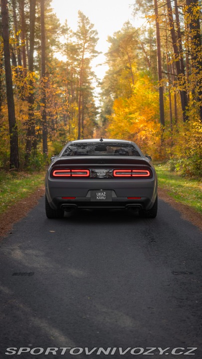 Dodge Challenger Hellcat Widebody 2019