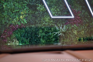 Lexus LC 500 5.0 V8 Luxury MarkLev 2022