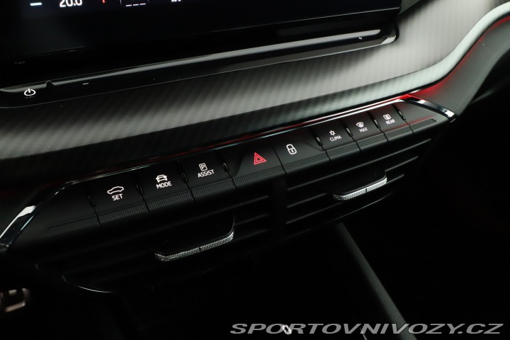 Škoda Octavia RS RS RS 2.0 TSI 2023
