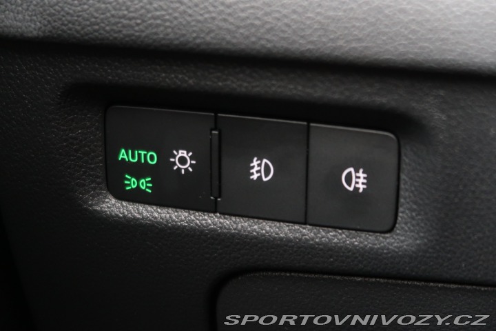 Škoda Octavia RS RS RS 2.0 TSI 2020