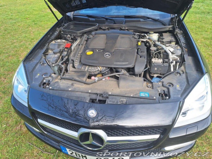 Mercedes-Benz SLK 350 R172 2011