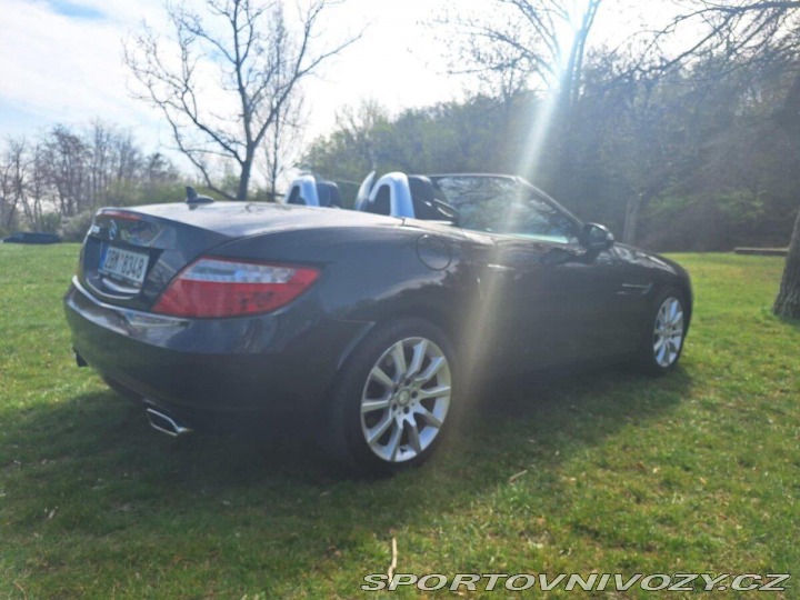 Mercedes-Benz SLK 350 R172 2011