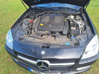Mercedes-Benz SLK 350 R172 2011