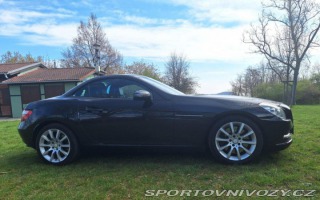 Mercedes-Benz SLK 350 R172 2011