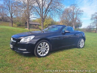 Mercedes-Benz SLK 350 R172 2011