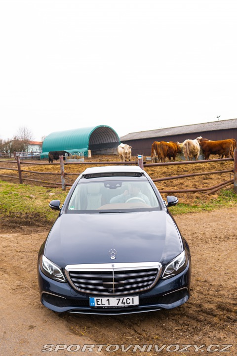 Mercedes-Benz E E300DE 2019