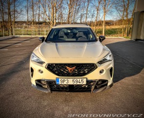 Cupra Formentor VZ5 Taiga Grey 954/999