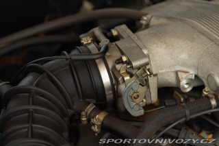 Alfa Romeo RZ  1993