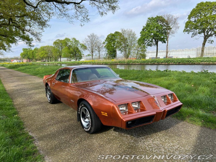 Pontiac Firebird V8 1980