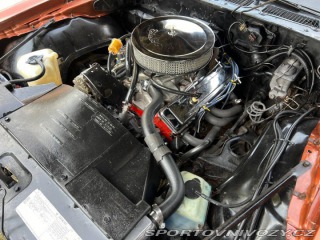 Pontiac Firebird V8 1980