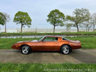 Pontiac Firebird V8 1980