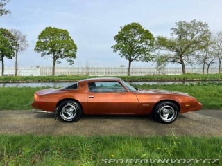 Pontiac Firebird V8 1980