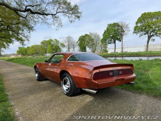Pontiac Firebird V8 1980