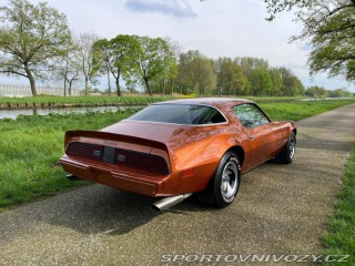 Pontiac Firebird V8 1980