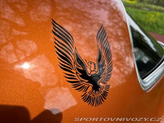 Pontiac Firebird V8 1980