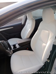 Tesla Model 3 Performance 2021