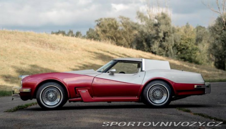 Chevrolet Corvette Caballista V8 1979