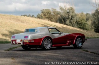 Chevrolet Corvette Caballista V8 1979