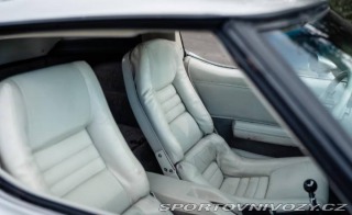 Chevrolet Corvette Caballista V8 1979
