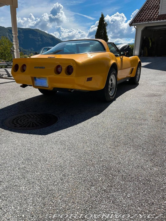 Chevrolet Corvette C3 Targa 1981
