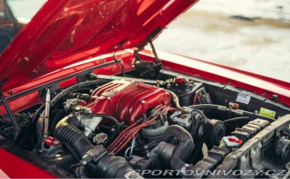 Ford Mustang Fastback 5.0 V8 1967