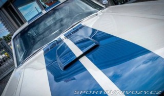 Ford Mustang Shelby G.T 350 Fastback 1965