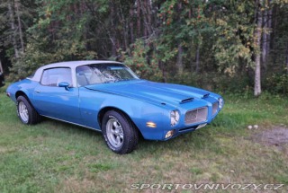Pontiac Firebird Formula 6.6 V8 1975