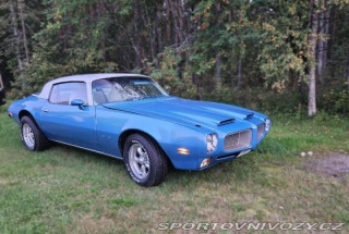 Pontiac Firebird Formula 6.6 V8 1975