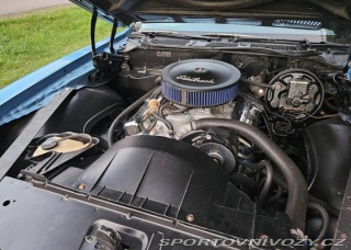 Pontiac Firebird Formula 6.6 V8 1975