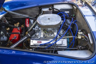 Ostatní značky Ostatní modely AC Shelby Cobra Replika 1981