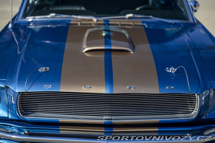 Ford Mustang Fastback 1965
