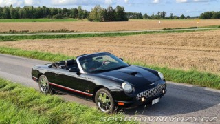 Ford Ostatní modely Thunderbird Cabriolet 2002