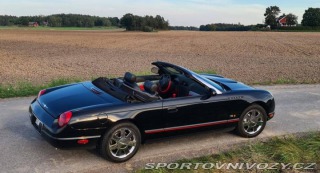 Ford Ostatní modely Thunderbird Cabriolet 2002