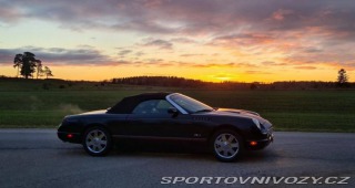 Ford Ostatní modely Thunderbird Cabriolet 2002