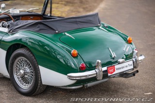 Ostatní značky Ostatní modely Austin-Healey 3000 1966