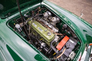 Ostatní značky Ostatní modely Austin-Healey 3000 1966