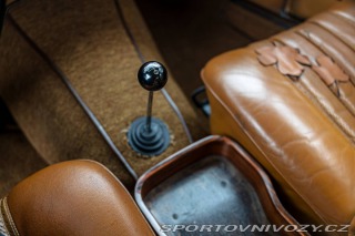 Mercedes-Benz E Benz w111 250 SE 1967