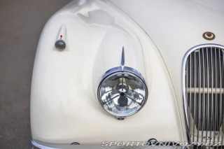 Jaguar XK XK120 Coupe 1952