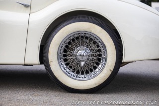 Jaguar XK XK120 Coupe 1952