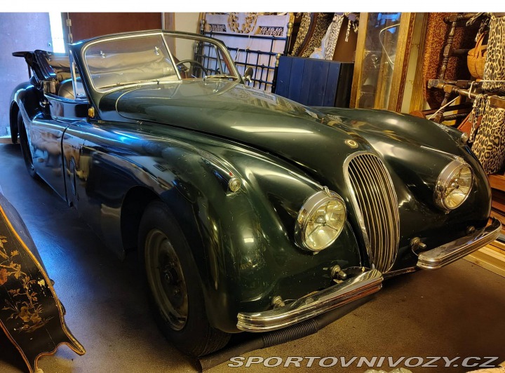 Jaguar XK XK120 DHC 1953