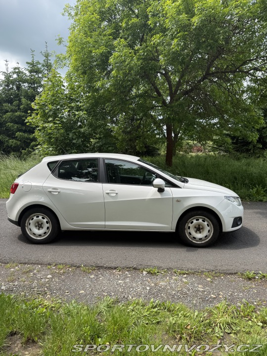 Seat Ibiza Sport Coupe 4 2009