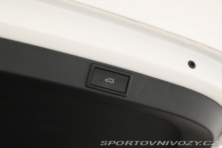 Škoda Octavia RS RS RS 2.0 TSI 2024