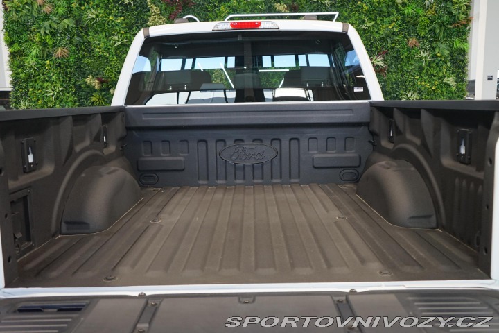 Ford Ostatní modely F-150 XLT 5.0 V8 75-Years 360 T 2025