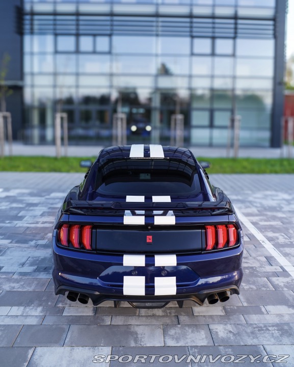Ford Mustang Performance 2019