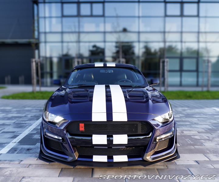Ford Mustang Performance 2019