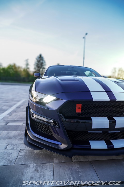 Ford Mustang Performance 2019