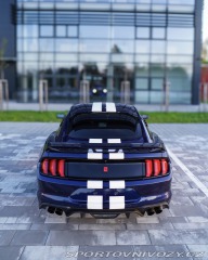 Ford Mustang Performance 2019